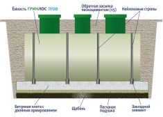 Гринлос Пром 60 пр